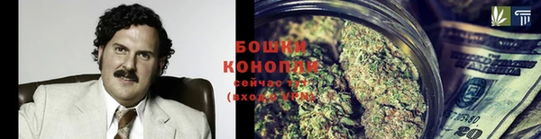 apvp Аркадак