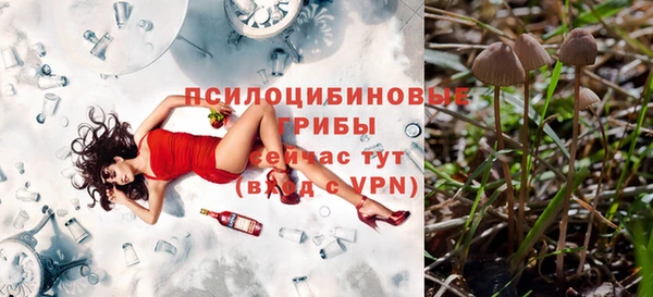 apvp Аркадак