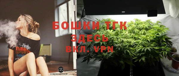 apvp Аркадак
