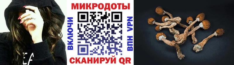 Псилоцибиновые грибы Psilocybe купить наркоту Бабушкин